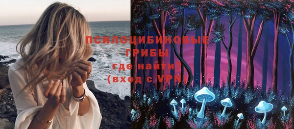 ГАЛЛЮЦИНОГЕННЫЕ ГРИБЫ Абдулино