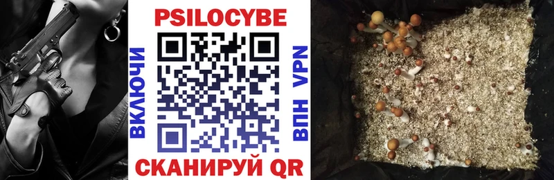 Псилоцибиновые грибы MAGIC MUSHROOMS купить kraken рабочий сайт Луга