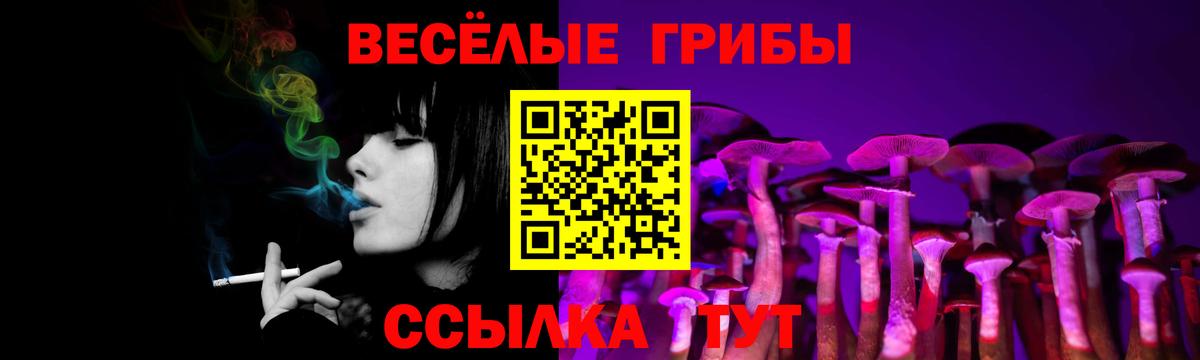 Луга  Галлюциногенные грибы Psilocybine cubensis  где можно купить   Галлюциногенные грибы Magic Shrooms  Вход с VPN 
